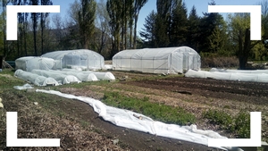 Le Potager Naturel MANTEYER photo