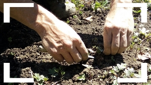 Le Potager Naturel MANTEYER photo