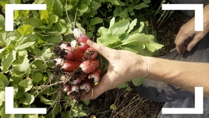 Le Potager Naturel MANTEYER photo